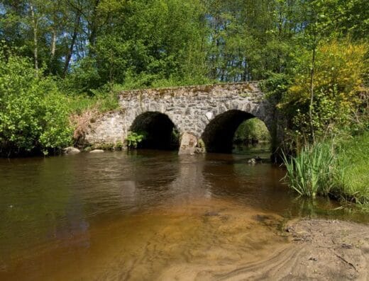 Le pont du lac