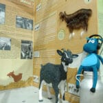 Maison des Fromages de Chèvre