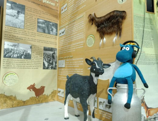 Maison des Fromages de Chèvre