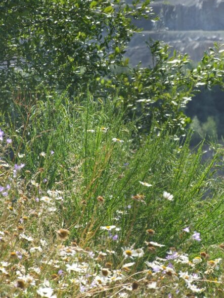 Le Belvédère de Laubreçais