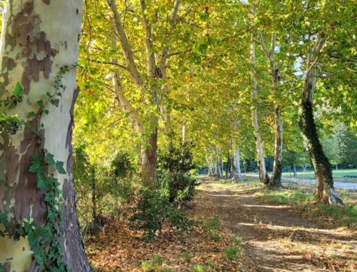 Parc des Sports et des Loisirs