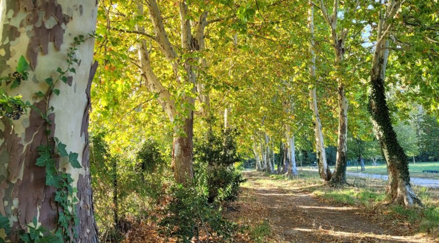 Parc des Sports et des Loisirs