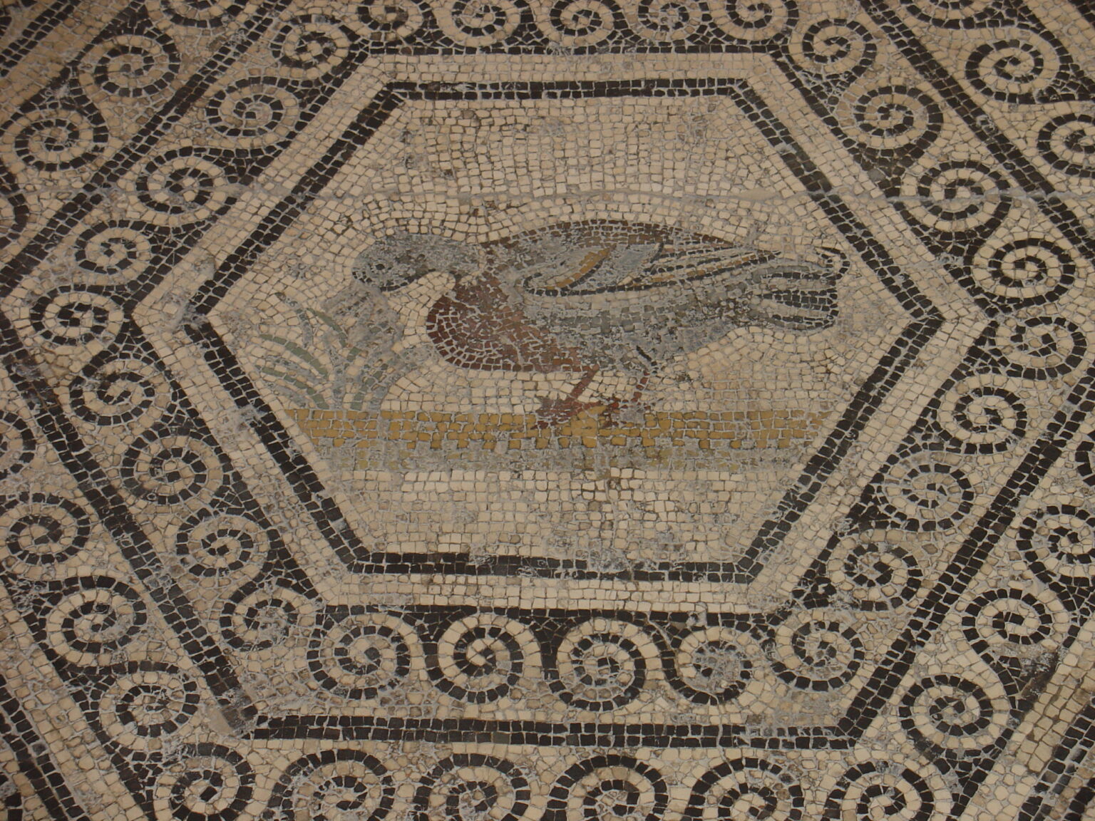 Le Musée archéologique Théo Desplans