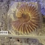 Maison de la Géologie