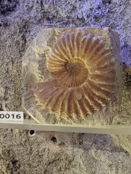 Maison de la Géologie
