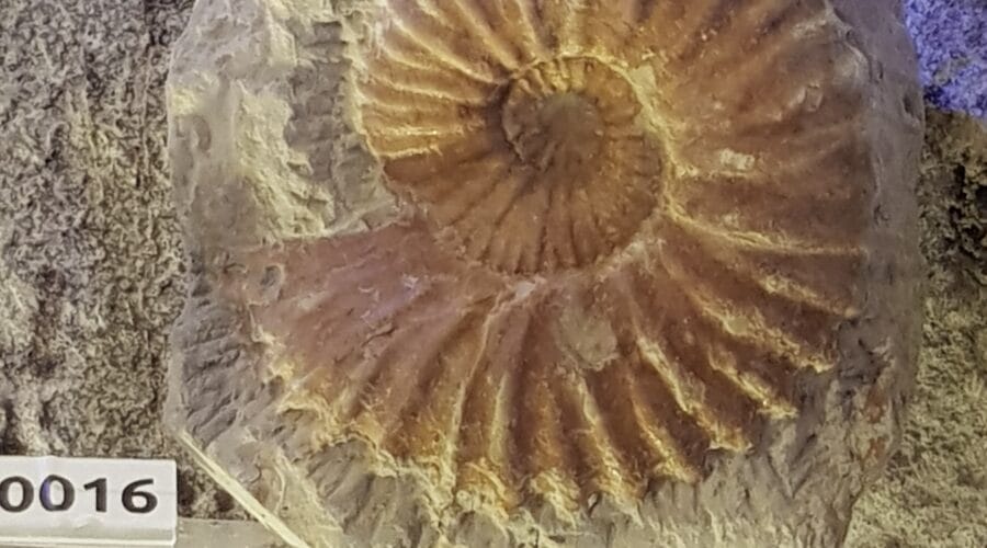 Maison de la Géologie