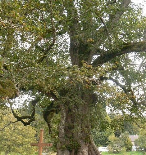 Chapelle du Mas Saint Jean - Saint Sulpice le Dunois