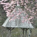 Arboretum de la Sédelle