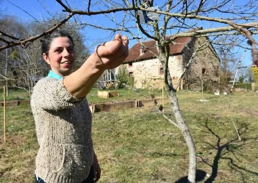 Au jardin des harmonies