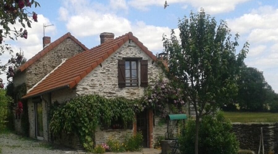 Arboretum de plantes à Vannerie