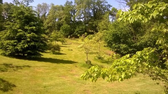 Arboretum du Lys
