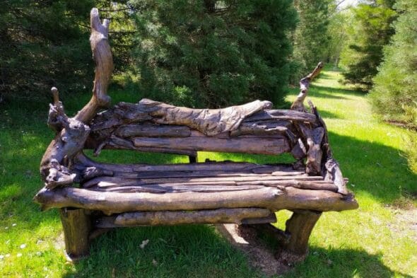 Jardin LACORE