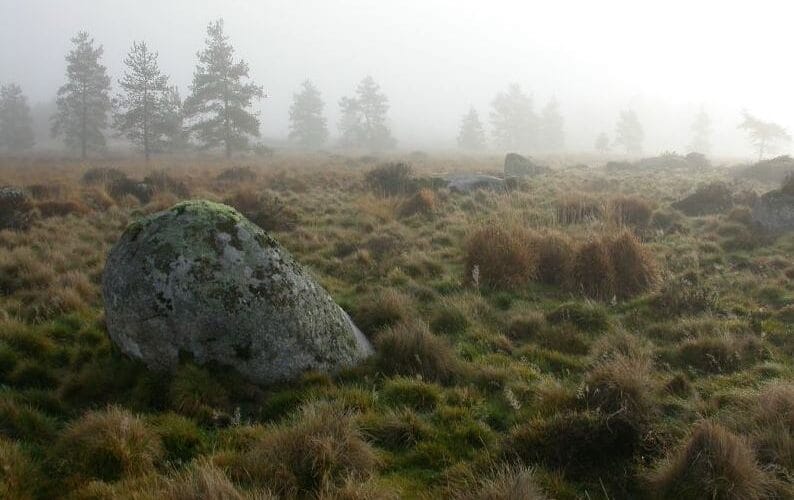 Tourbière du Longeyroux