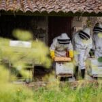 Ancien prieuré Saint-Barthélémy