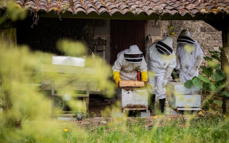 Ancien prieuré Saint-Barthélémy
