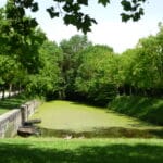 Saint-Georges-de-Rex