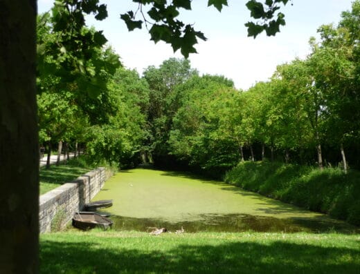 Saint-Georges-de-Rex