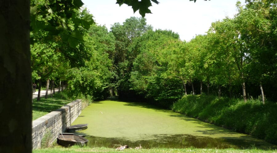 Saint-Georges-de-Rex