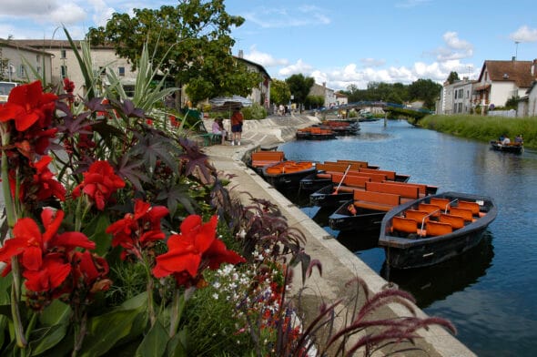 Coulon