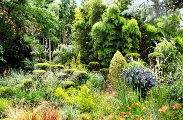 Jardin les Bambous de Planbuisson