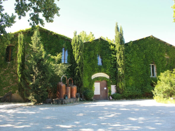 Jardin des simples