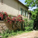 Station biologique de la Tour du Valat