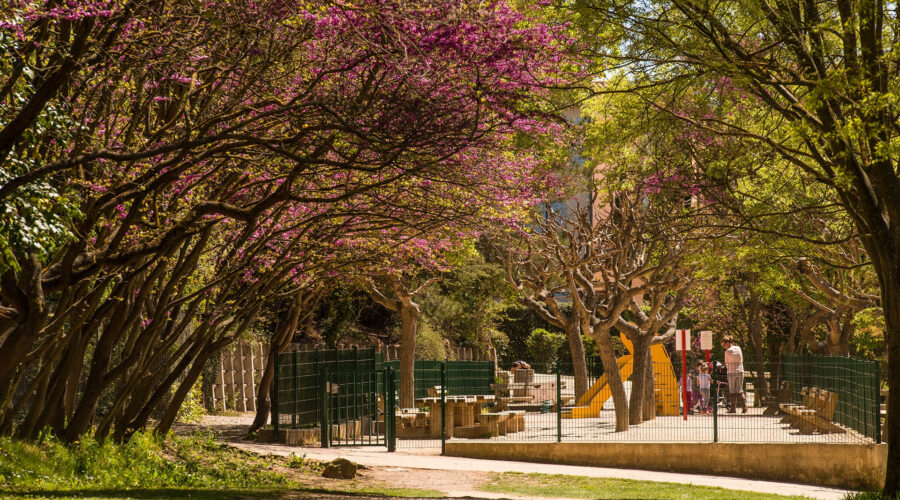 Promenade de la Torse