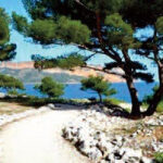 Presqu'île de Port-Miou/ Sentier du Petit Prince