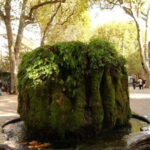 Fontaine Moussue