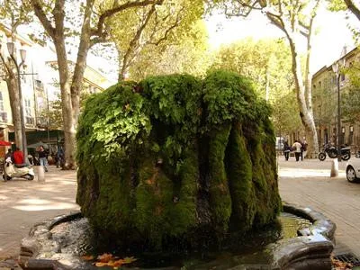 Fontaine Moussue
