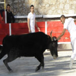 Arènes André Blanc