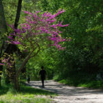 Parc Christine Bernard - Promenade de l'Arc