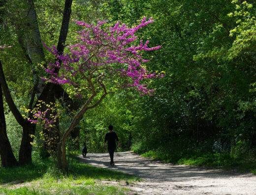Parc Christine Bernard - Promenade de l'Arc