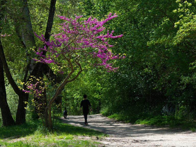 Parc Christine Bernard – Promenade de l&rsquo;Arc