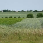 Saint-Rémy-en-Plaine vaut le des Tours