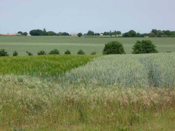Saint-Rémy-en-Plaine vaut le des Tours