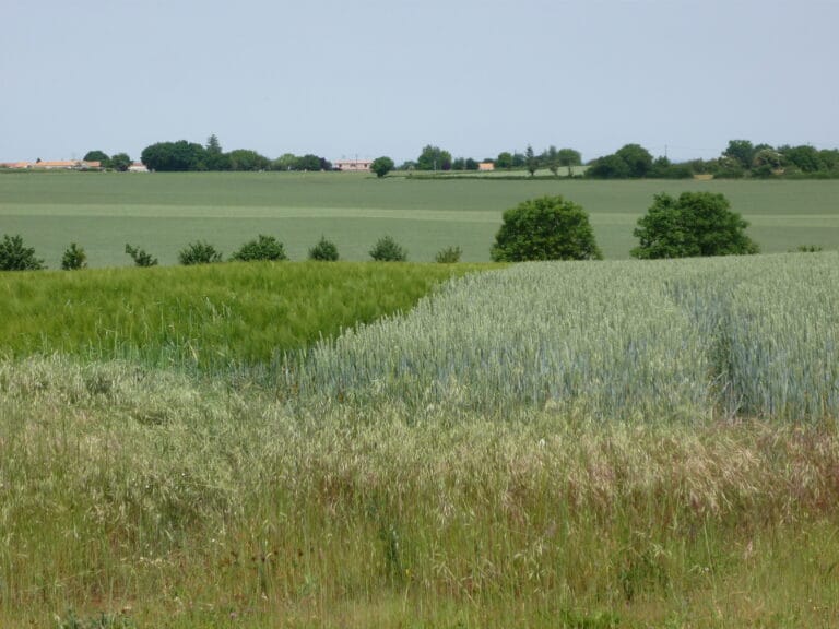 Saint-Rémy-en-Plaine vaut le des Tours