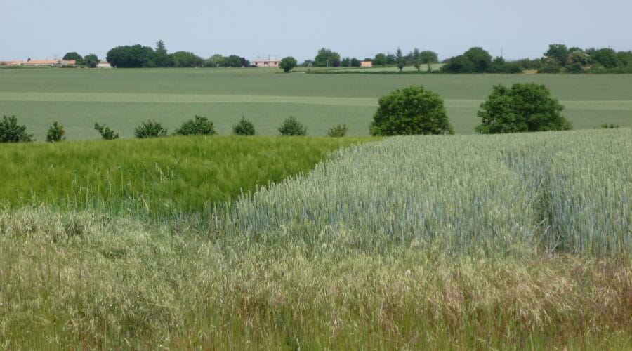 Saint-Rémy-en-Plaine vaut le des Tours
