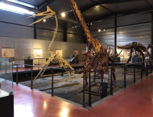 MUSÉE DES DINOSAURES