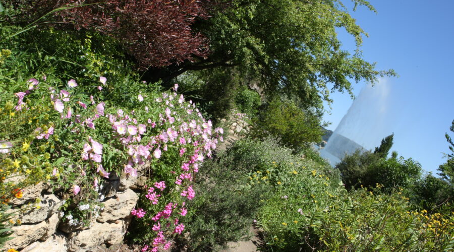 Jardin méditerranéen