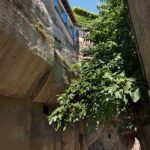 Les Carrières de Pierre de Fontvieille