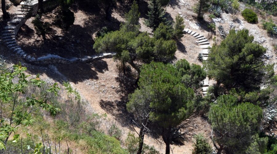 Jardin du Bois Sacré