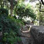 Jardin de la Colline Puget