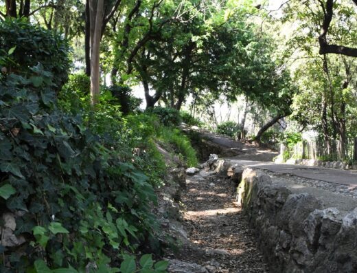 Jardin de la Colline Puget