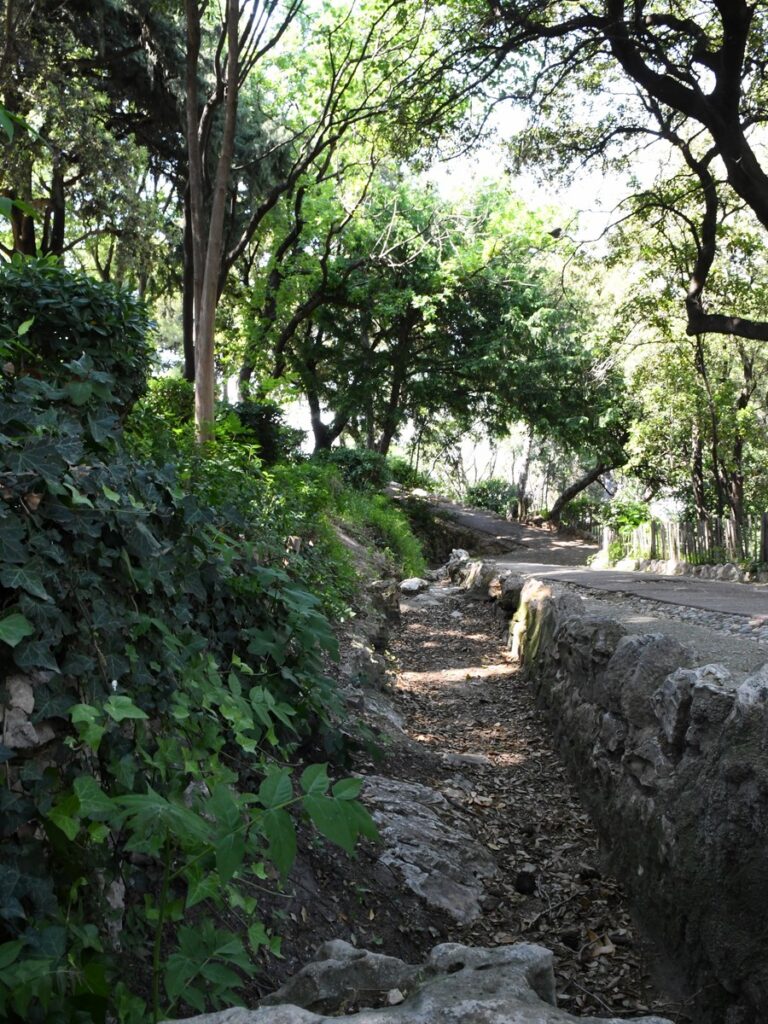 Jardin de la Colline Puget