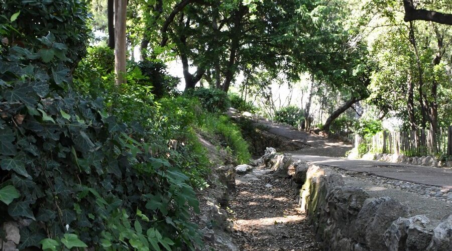 Jardin de la Colline Puget