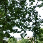 Parc de la Mirabelle