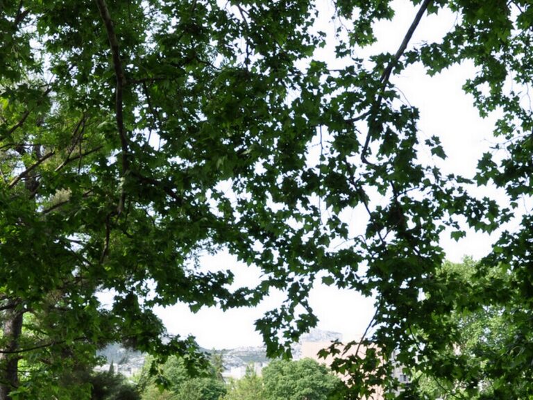 Parc de la Mirabelle