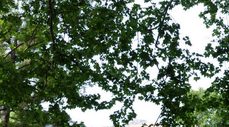 Parc de la Mirabelle