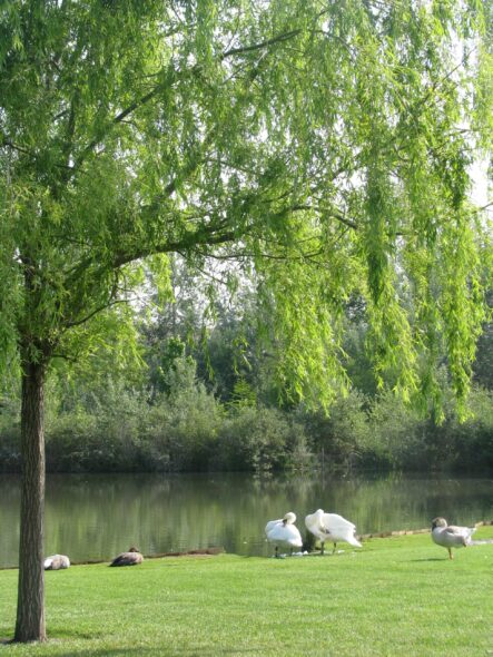 Le Jardin de Gaston